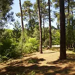 Les Cinq Sens Du Chateau Mayne Lalande