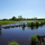 Les Cinq Sens Du Chateau Mayne Lalande