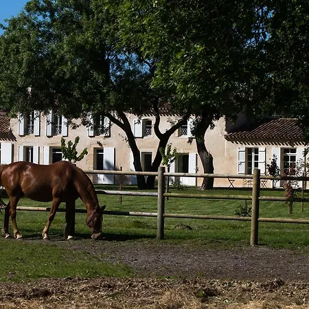 Les Cinq Sens Du Chateau Mayne Lalande Penzion Castelnau-de-Médoc