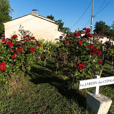 Les Cinq Sens Du Chateau Mayne Lalande Penzion *
