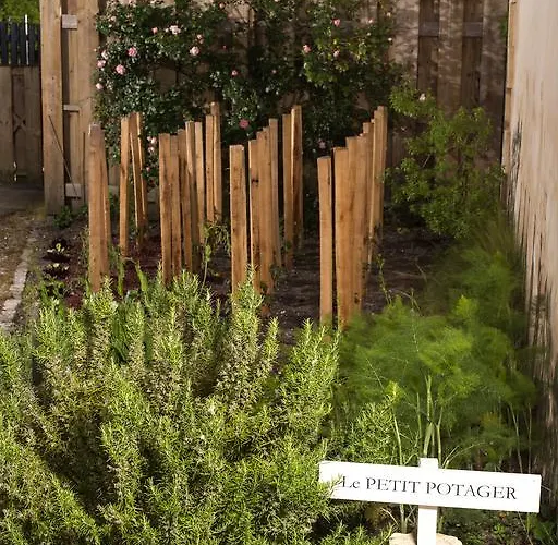 Les Cinq Sens Du Chateau Mayne Lalande *